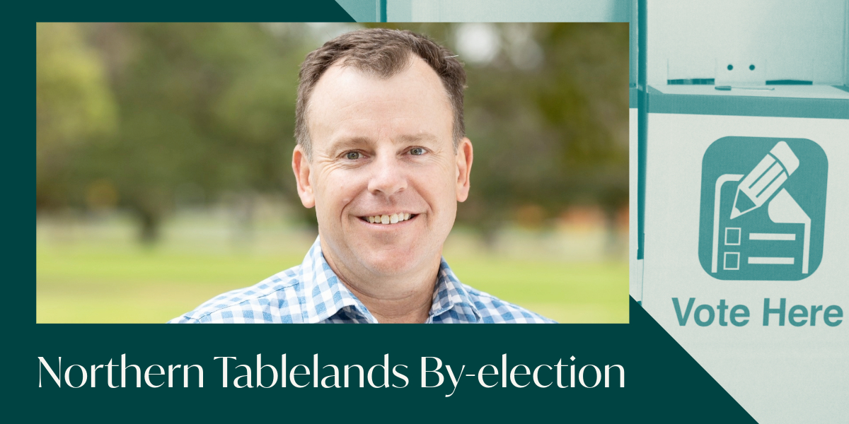 Northern Tablelands Byelection 2024 Archives New England Times